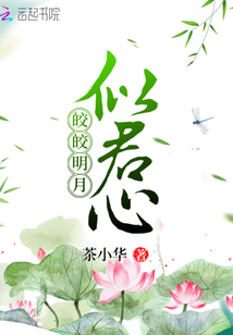 �������ƾ���