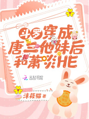 ���ޣ������������ú������HE