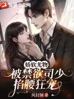 �������������˾���������