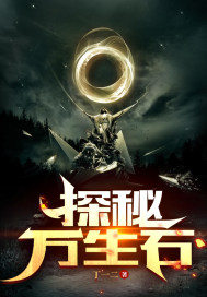 ̽������ʯ