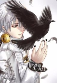 ����ʹ�켩��