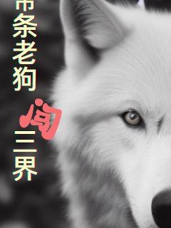 �����Ϲ�������