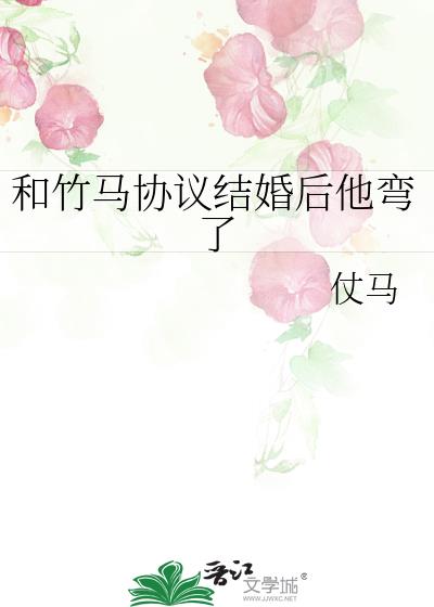 ������Э�����������