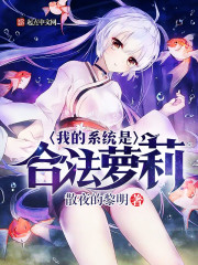 �ҵ�ϵͳ�ǺϷ�����