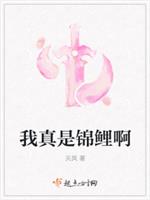 �����ǽ���